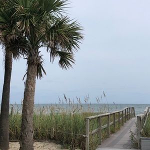 Meet your Posher, Robyn